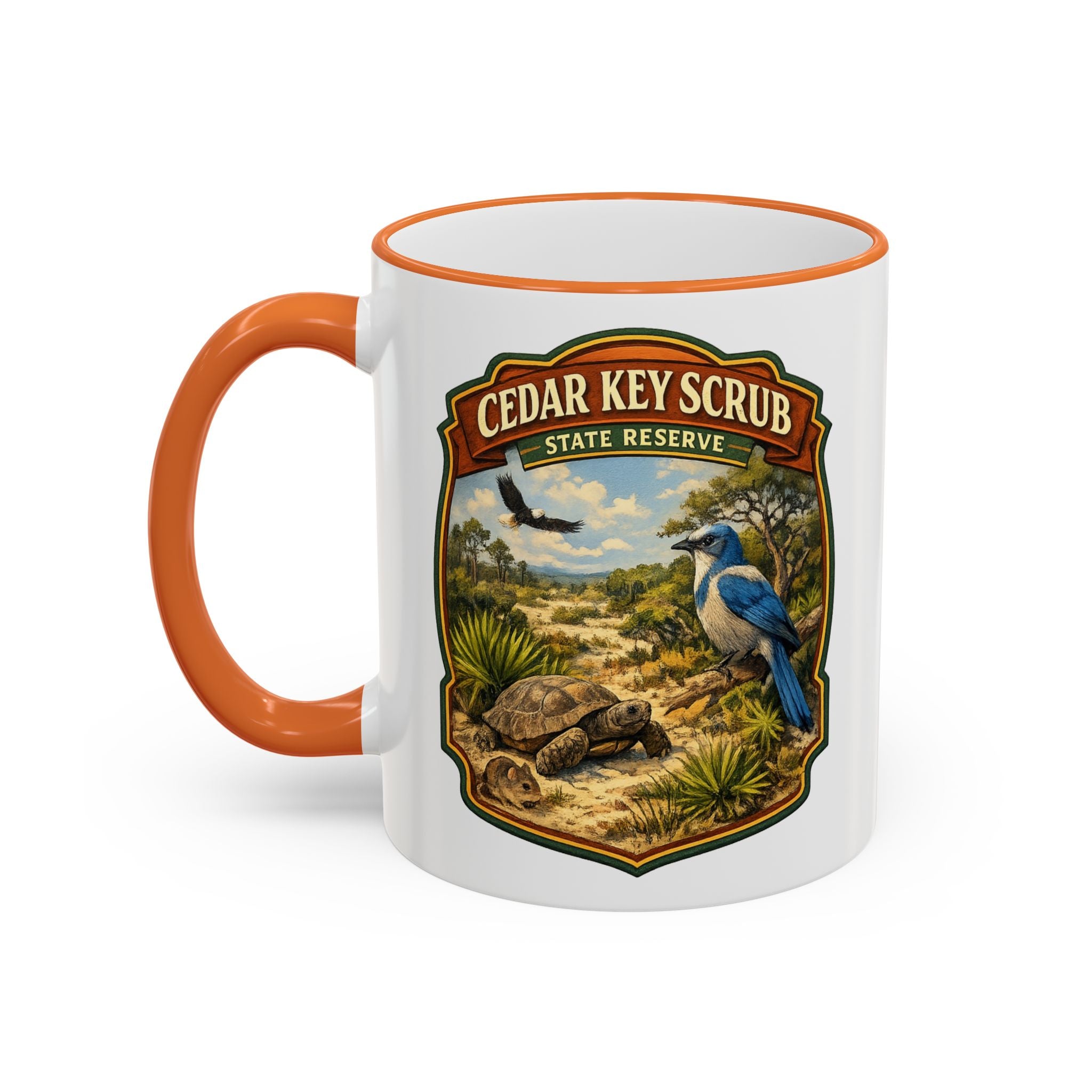 Copy of Cedar Key Scrub Accent Rim & Handle 11oz/15oz
