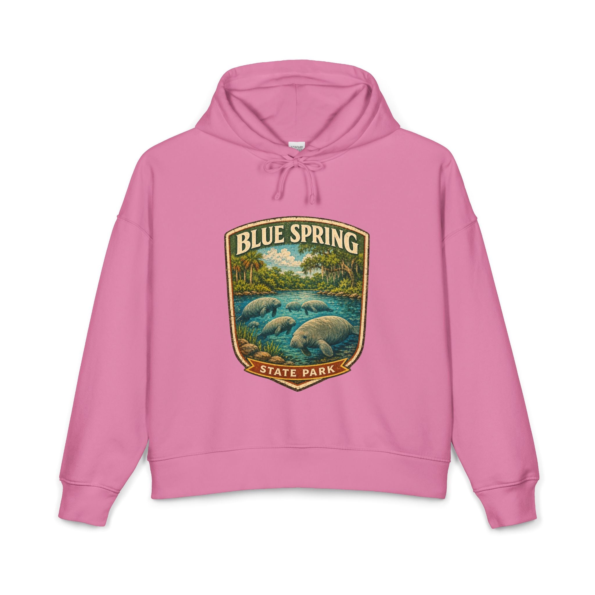 Blue Spring — Vintage Hoodie