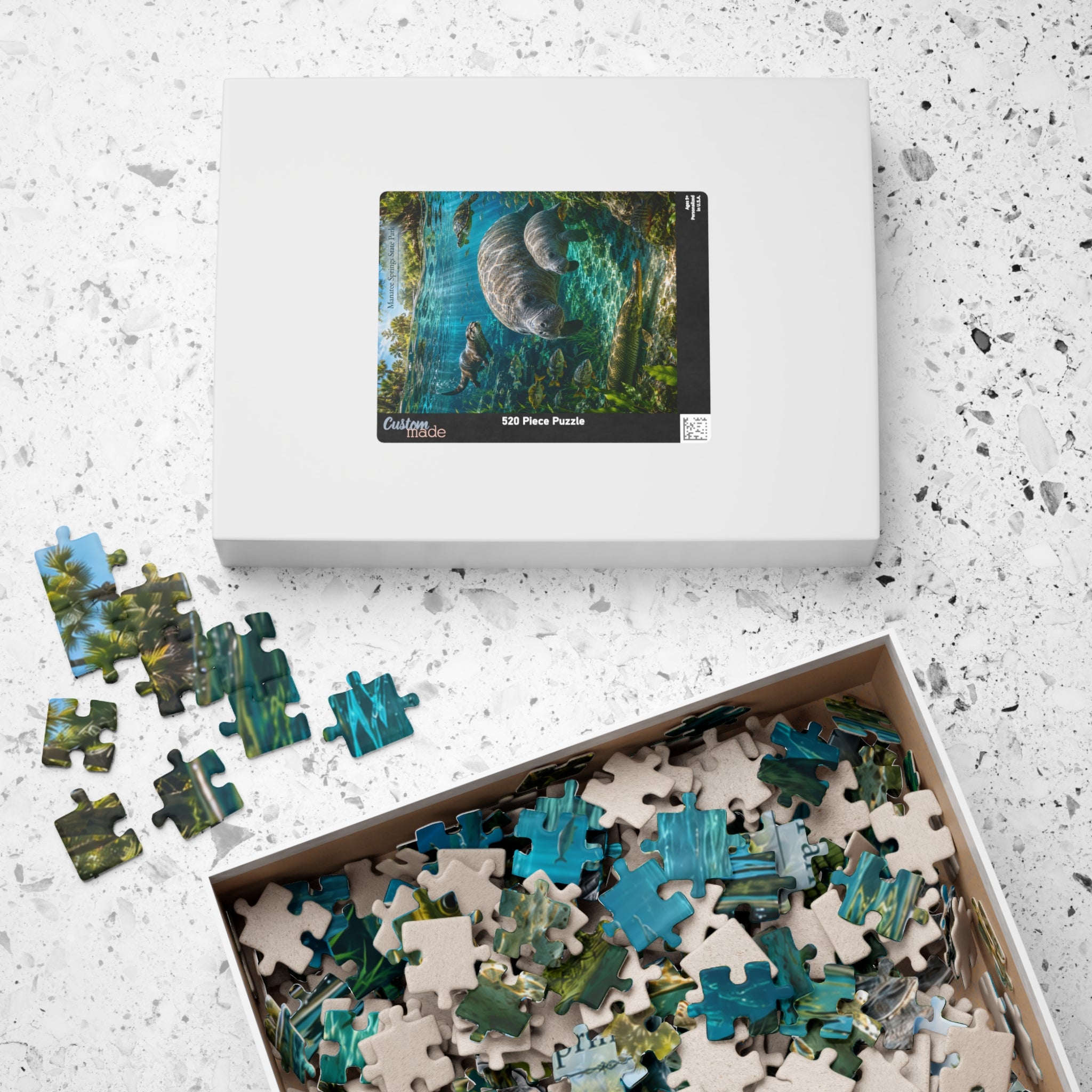 Manatee Springs Underwater Scene Puzzle — 520/1014-Pieces