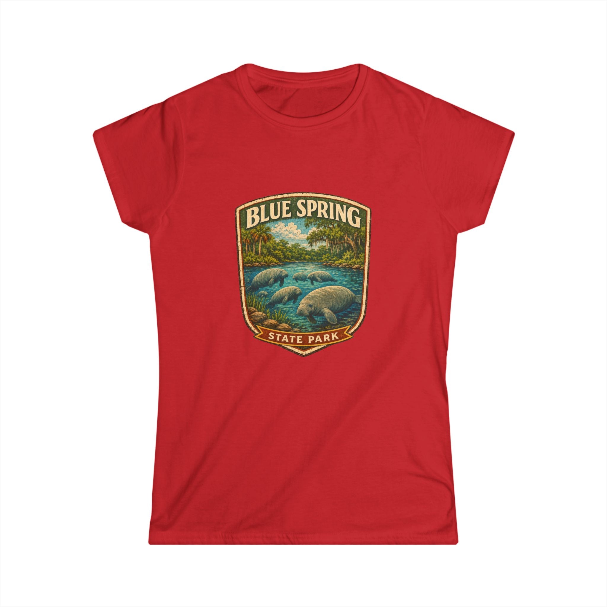 Blue Spring- Vintage Tee