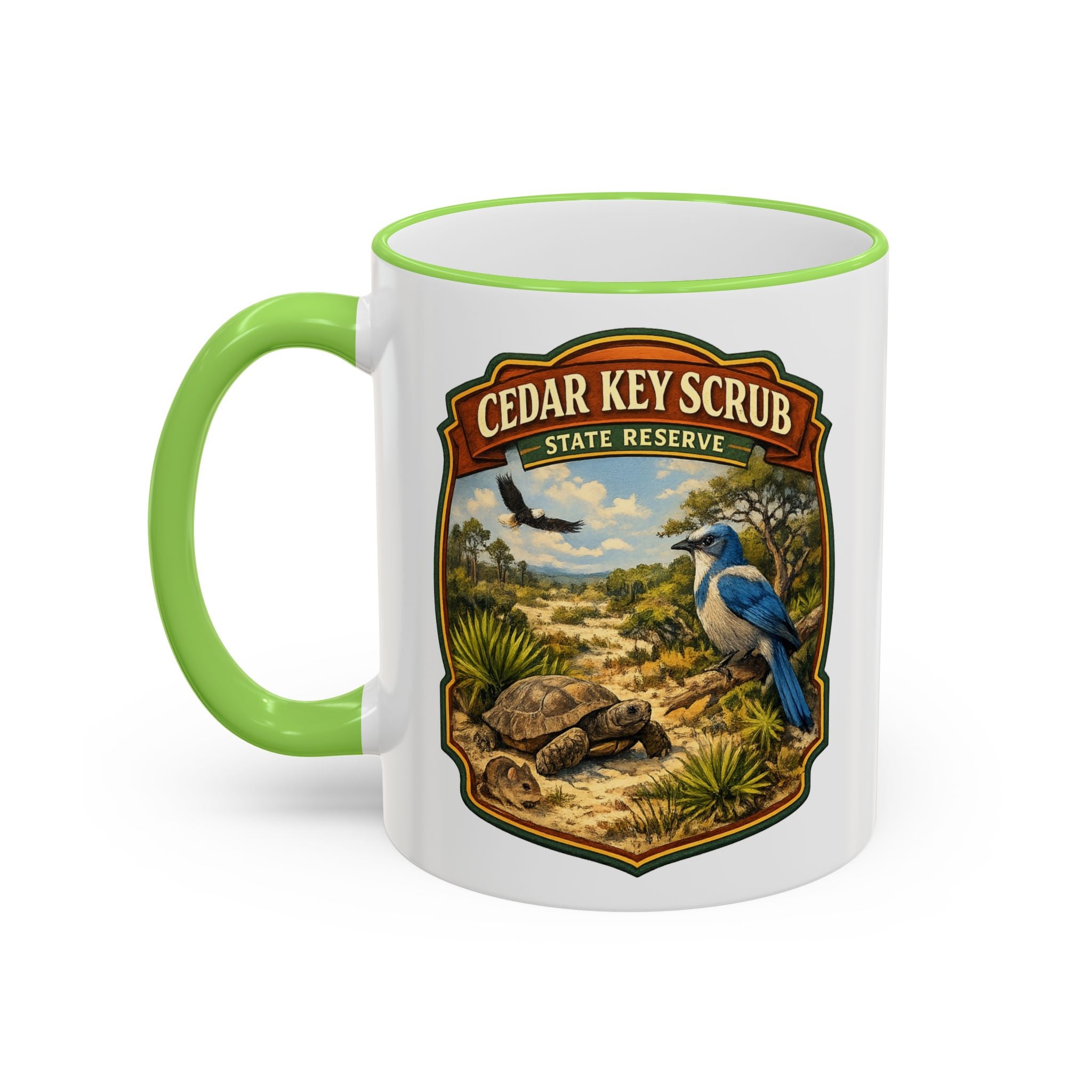 Copy of Cedar Key Scrub Accent Rim & Handle 11oz/15oz