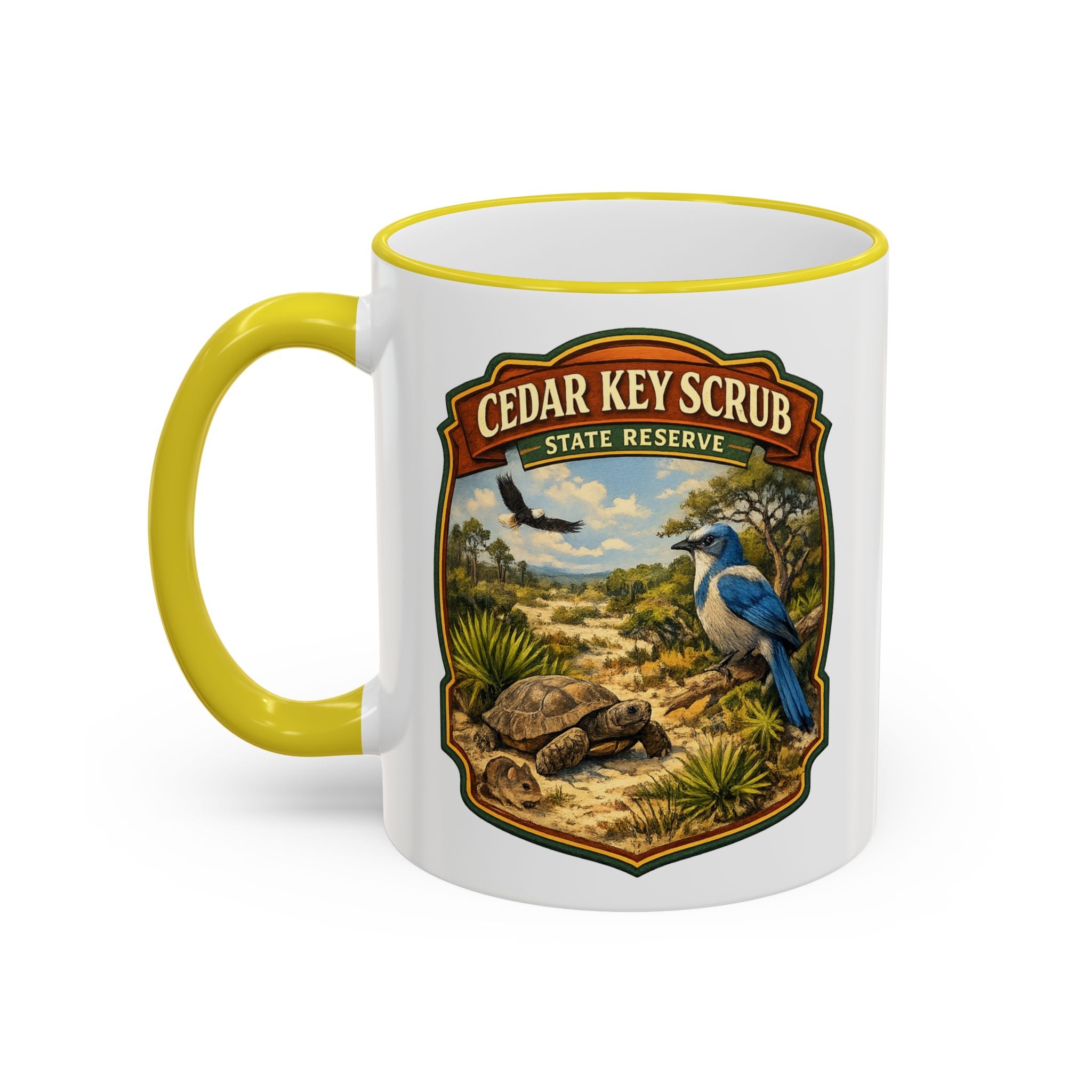 Copy of Cedar Key Scrub Accent Rim & Handle 11oz/15oz