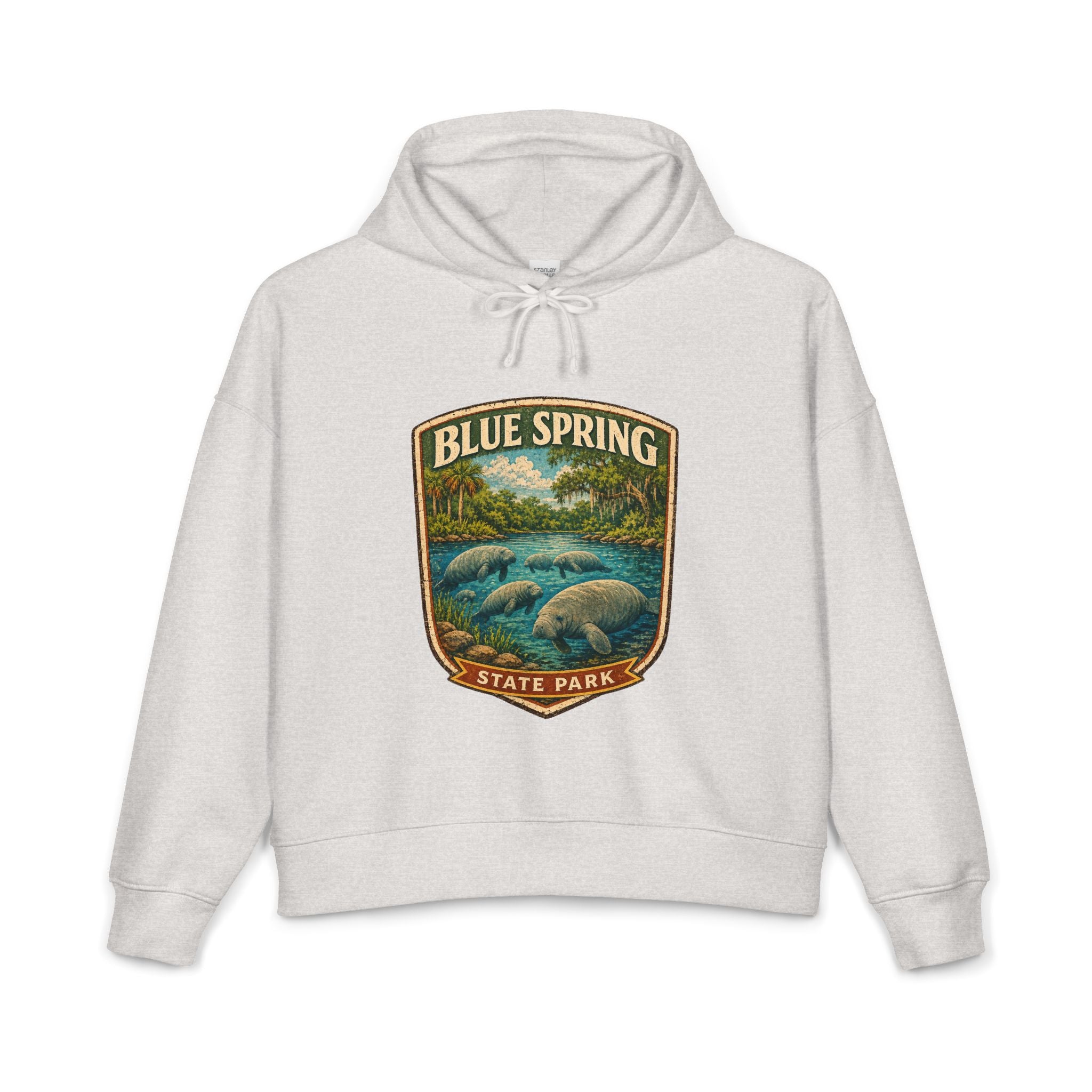 Blue Spring — Vintage Hoodie